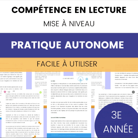 Lecture : 3e année